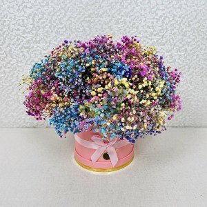 gispsofila-miks-v-korobke-11-sht